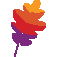 APACHE SERVICES INC logo